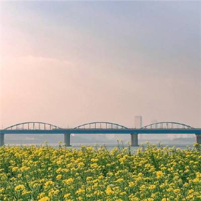 点兵点将无限仙石灵石下载